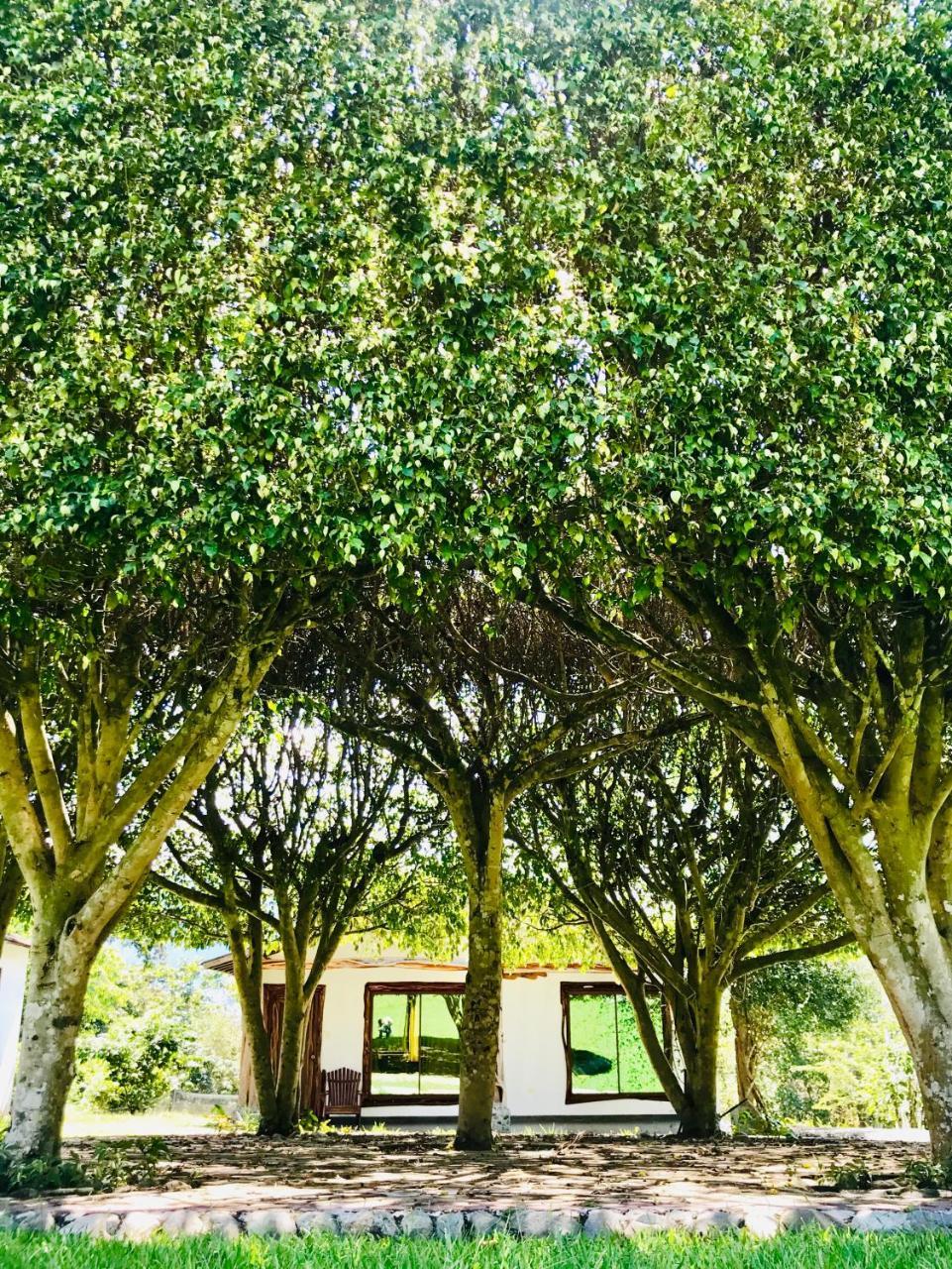 Hosteria Tierra Dorada Yantzaza Esterno foto